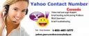 Yahoo Support Number Canada logo